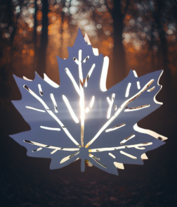 Glowing Maple Leaf Wall Decor