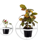 METSY Round Shaped Designer Mounted Wall Planter pots Hallway/Offices/Home/Foyer/Balcony/Indoor Plant Stands