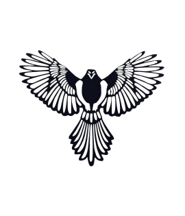 METSY Laser Cut Metal Wall Art | Metal Wall Hanging | Eagle Wall Decor |36cmx26cm Thickness Mild Steel Material with Black Powder Coating