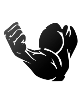 METSYGraphical Bicep Wall Art for Gym Lovers,(38x25cm),Made of 1.2mm Metal Sheet, Crafted with Laser Cutting, Black Powder Coated, For Living room, Kid's Room, Bedroom, Hallway