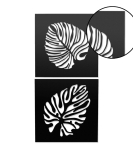 METSY Leaf Metal Wall Art Decor | Wall Hanging of Monstera Leaves | Made of 1.2mm Metal Sheet | Crafted with Laser Cutting | Black Powder Coated | Leaves Wall Decor | Set of 2