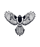 METSY Laser Cut Metal Wall Art | Metal Wall Hanging | Eagle Wall Decor |36cmx26cm Thickness Mild Steel Material with Black Powder Coating