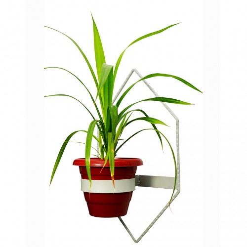 compacted hexagon shaped wall mounted planter