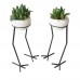 Bird feet shaped plant stand