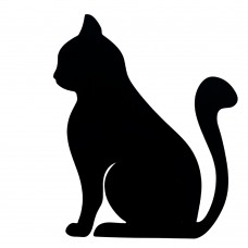 A cat silhouette